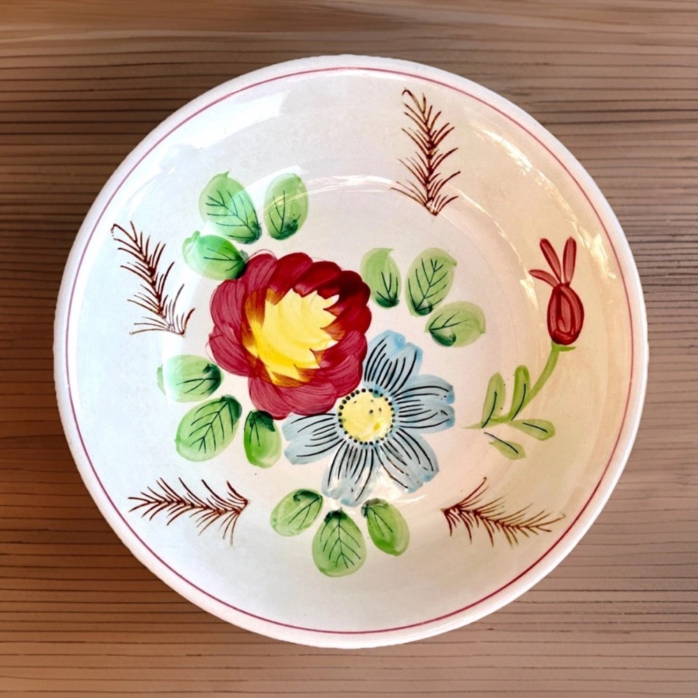 The Ironstone China Co 12”Floral All-Purpose Hand-Painted Serving Bowl Japan MCM